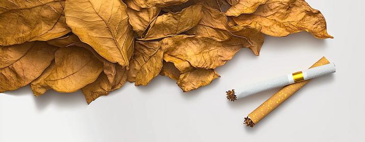 Classic Tobacco Series